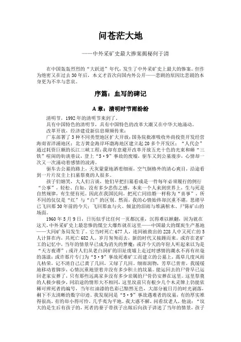 问苍茫大地白洞矿难纪实