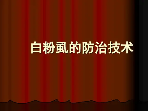 白粉虱的防治技术