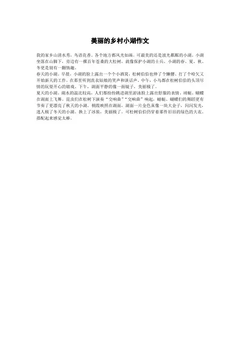 美丽的乡村小湖作文