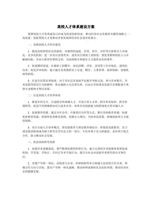 高校人才体系建设方案