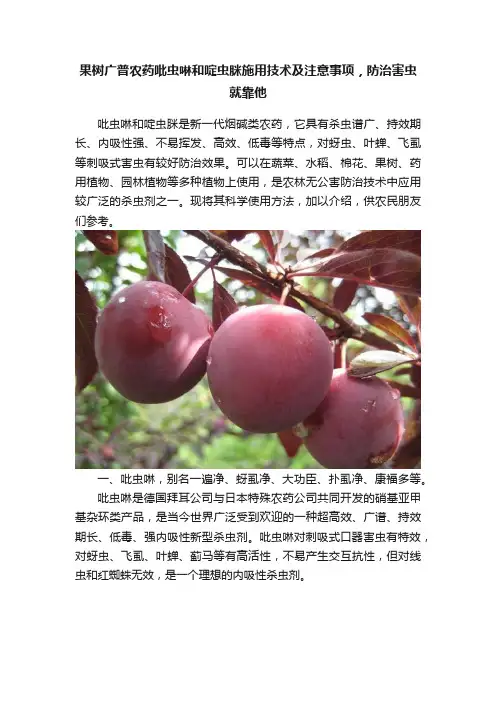 果树广普农药吡虫啉和啶虫脒施用技术及注意事项，防治害虫就靠他