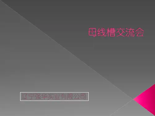 母线槽培训资料