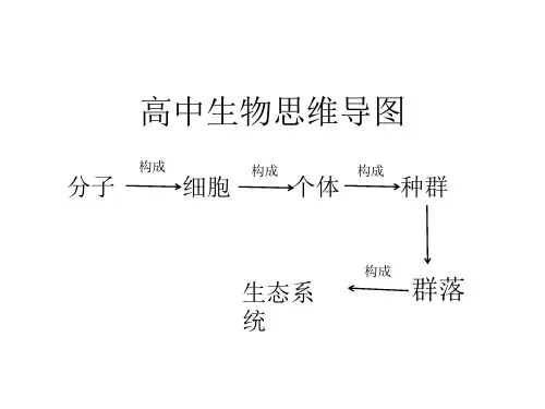 高中生物复习高中生物思维导图
