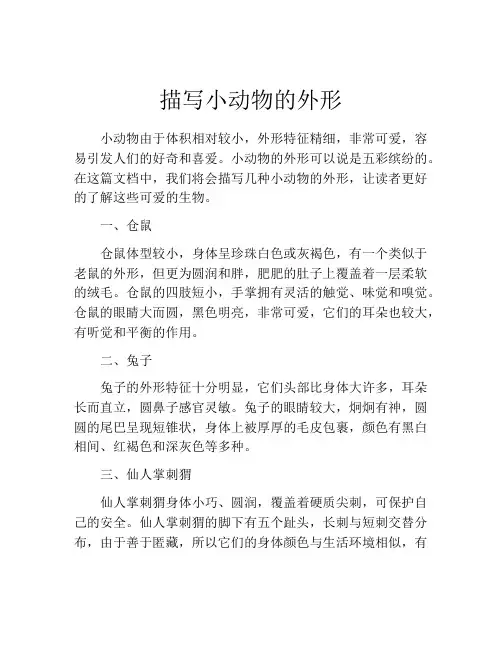 描写小动物的外形