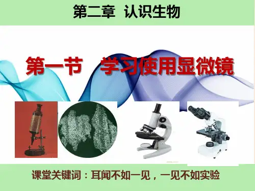 学习使用显微镜课件-2024--2025学年人教版生物七年级上册