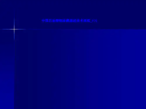 中国石油精细油藏描述技术规范 LN