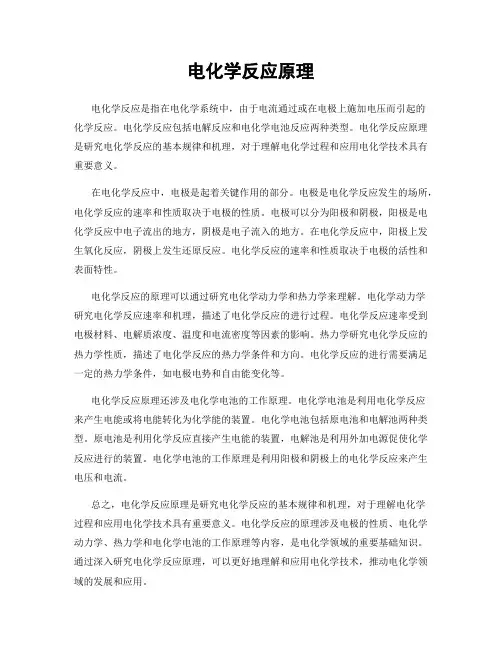 电化学反应原理
