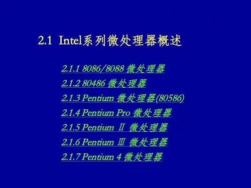 第2章 微处理器与指令系统-wy01