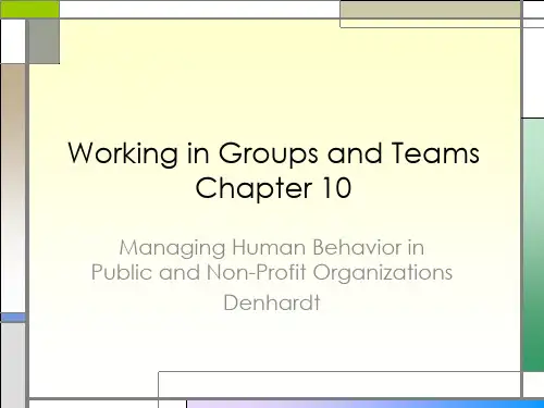 公共组织行为学ppt (10)[29页]