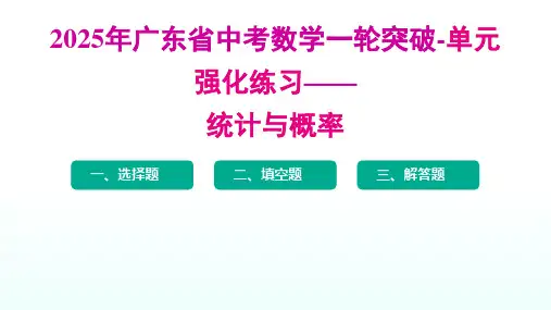 2025年广东省中考数学一轮突破-单元强化练习——统计与概率