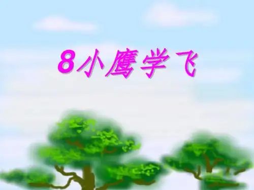 《小鹰学飞》 精品PPT课件5