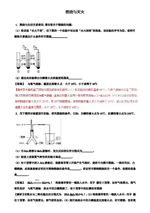 中考化学系列 专题15 燃烧与灭火(含解析)