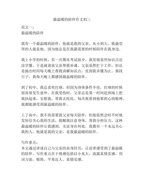 最温暖的陪伴作文初三