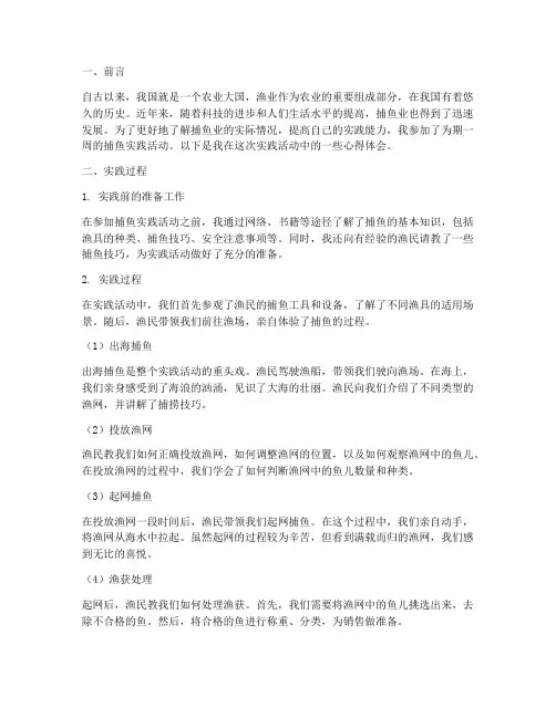 捕鱼实践心得体会