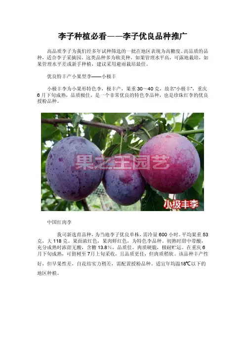 李子种植必看——李子优良品种推广