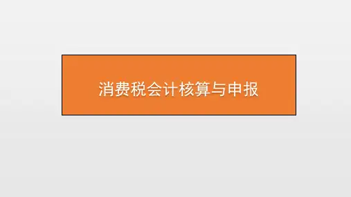 税务会计实务：消费税会计核算与申报