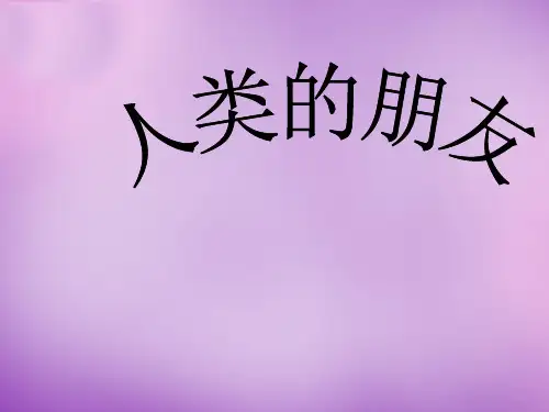 八年级政治下册 第1课 人类的朋友课件 教科版