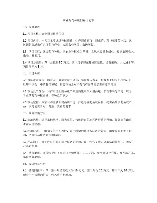农业菊花种植创业计划书