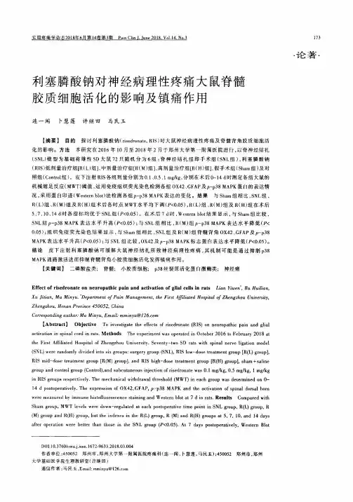 利塞膦酸钠对神经病理性疼痛大鼠脊髓胶质细胞活化的影响及镇痛作用