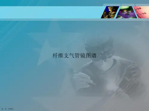 纤维支气管镜图谱讲课文档