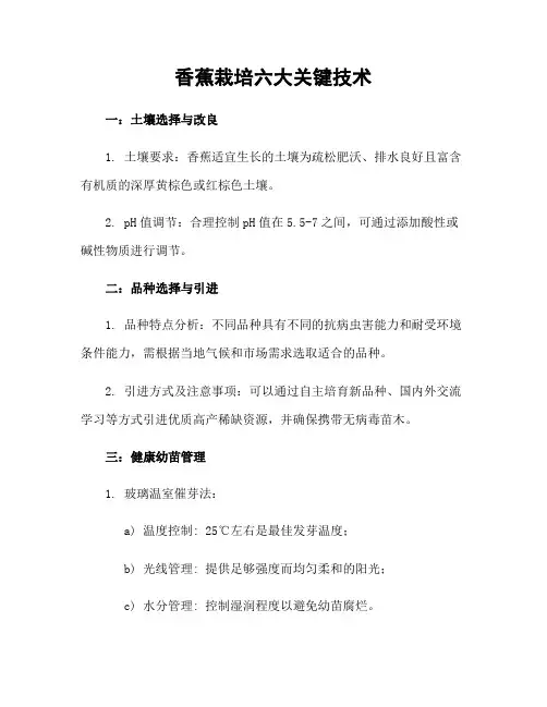 香蕉栽培六大关键技术