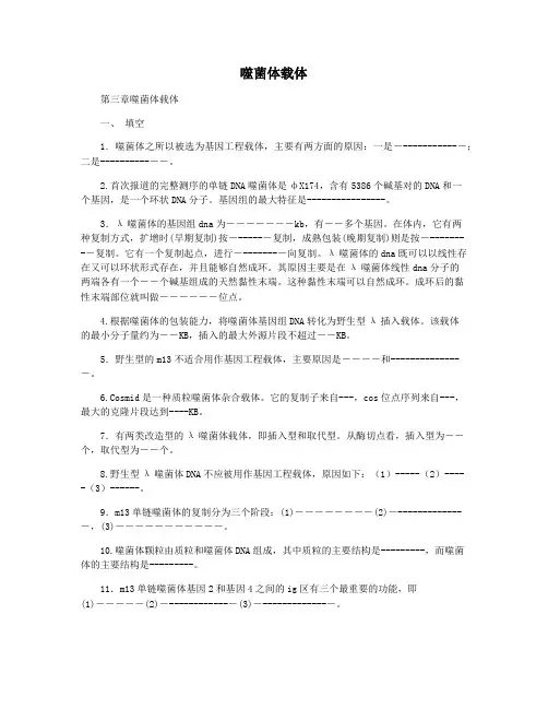 噬菌体载体