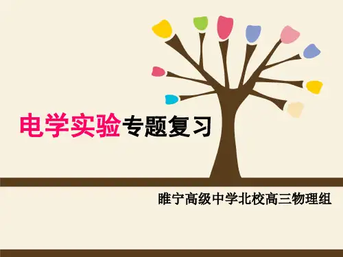 人教版高考物理二轮电学实验课件(共14张)