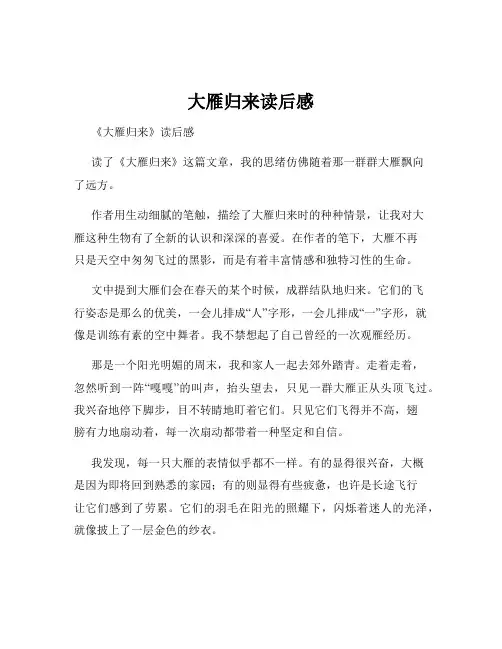 大雁归来读后感