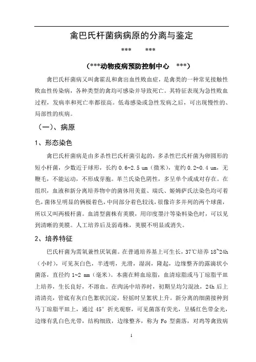 禽巴氏杆菌病病原的分离与鉴定(以发表)