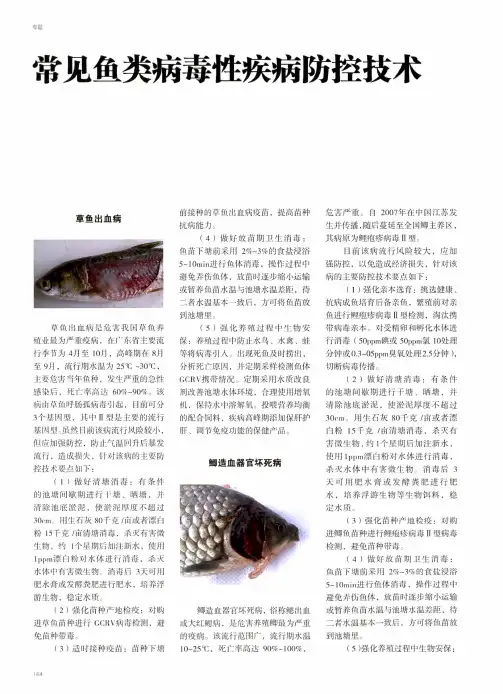 常见鱼类病毒性疾病防控技术