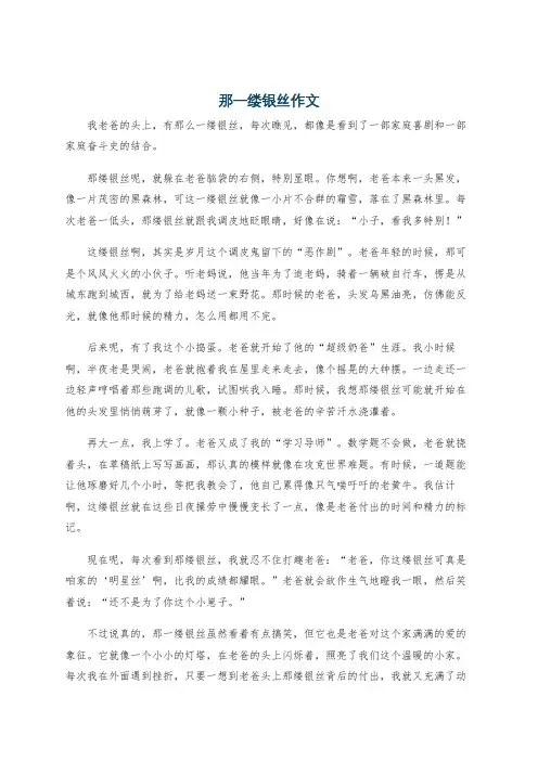 那一缕银丝作文