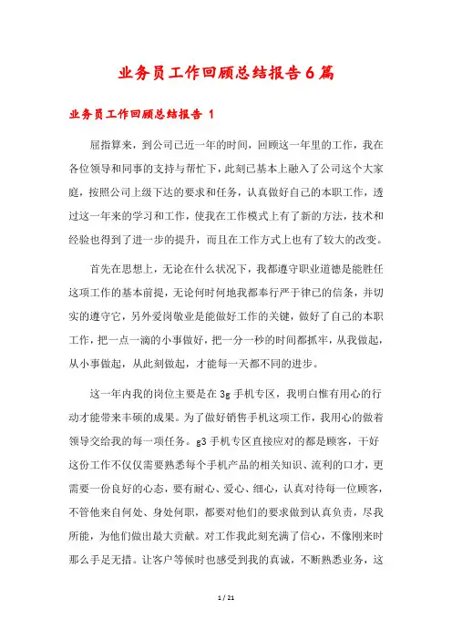 业务员工作回顾总结报告6篇