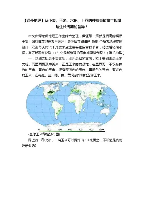 【课外地理】从小麦、玉米、水稻、土豆的种植看植物生长期与生长周期的差异！