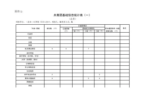 共青团基础信息统计表