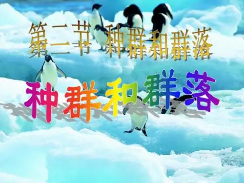 种群的特征
