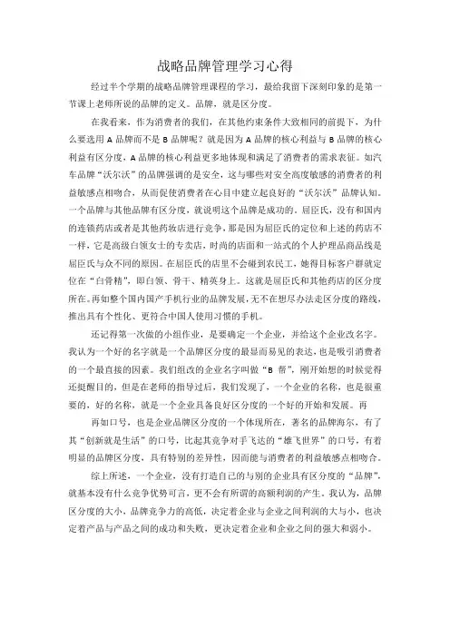 战略品牌管理学习心得