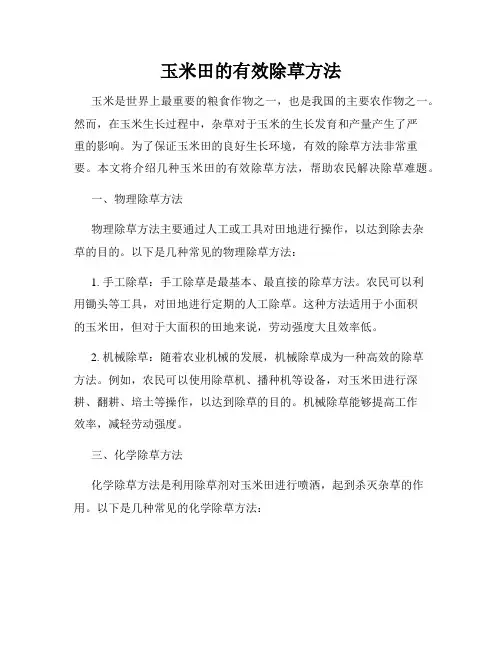 玉米田的有效除草方法