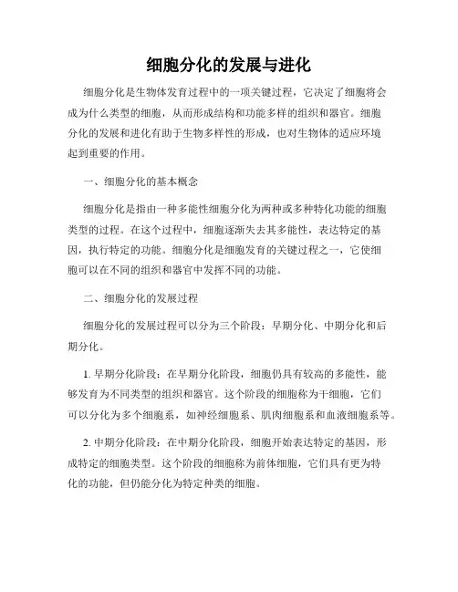 细胞分化的发展与进化