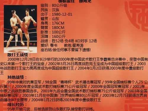 散打理论幻灯片(1)