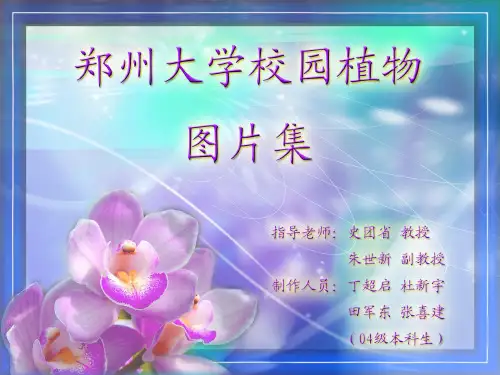 郑州大学校园植物图谱