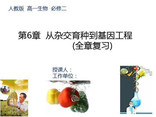 人教版  高一生物  必修二第六章 从杂交育种到基因工程