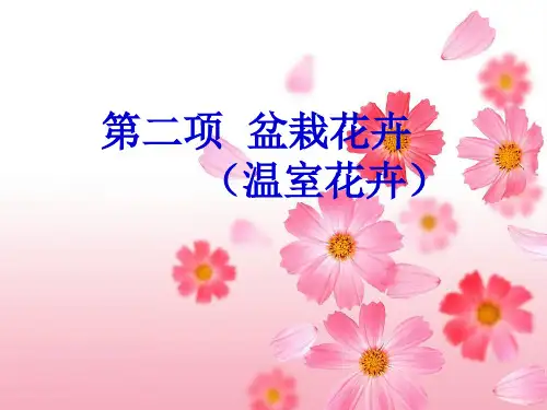 温室花卉讲解