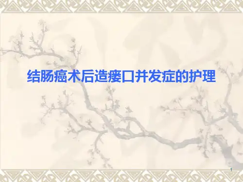结肠癌术后造瘘口PPT课件