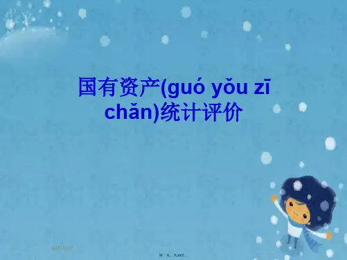 国有资产统计评价
