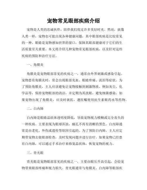 宠物常见眼部疾病介绍