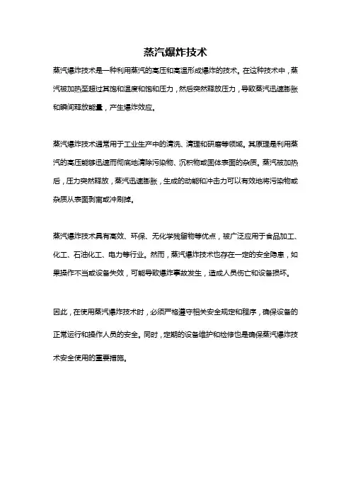 蒸汽爆炸技术