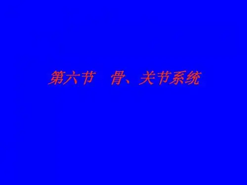 骨,关节系统