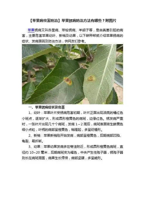 【苹果病虫害防治】苹果锈病防治方法有哪些？附图片