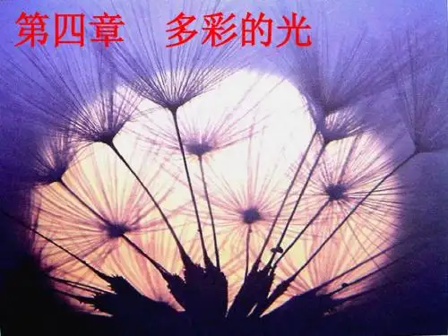 第一节 光的传播  公开课2011。10。26   801班