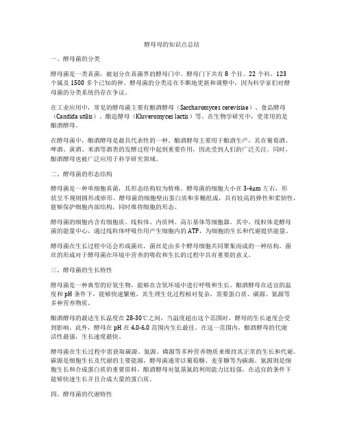 酵母母的知识点总结
